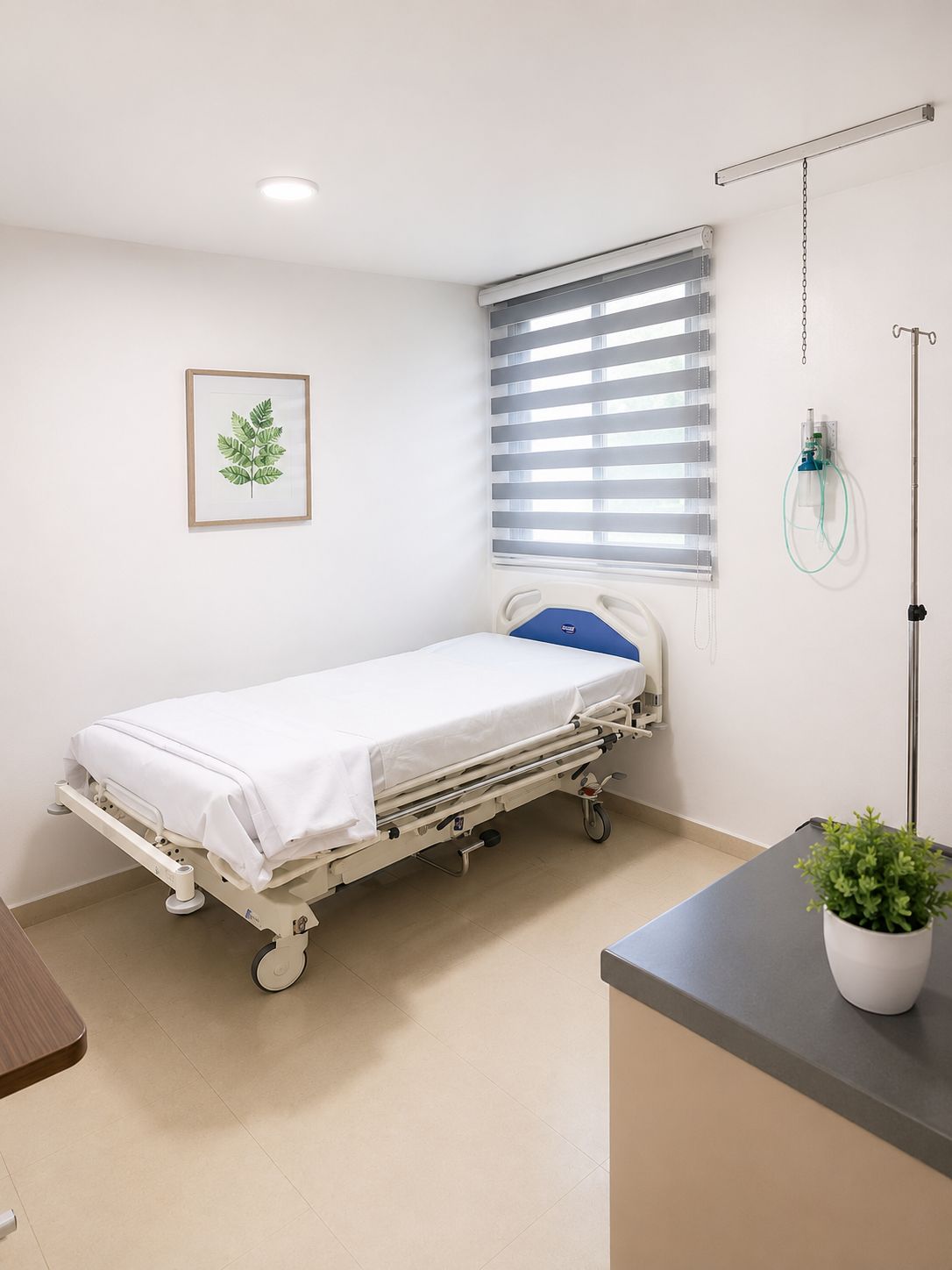 Habitación de hospitalización